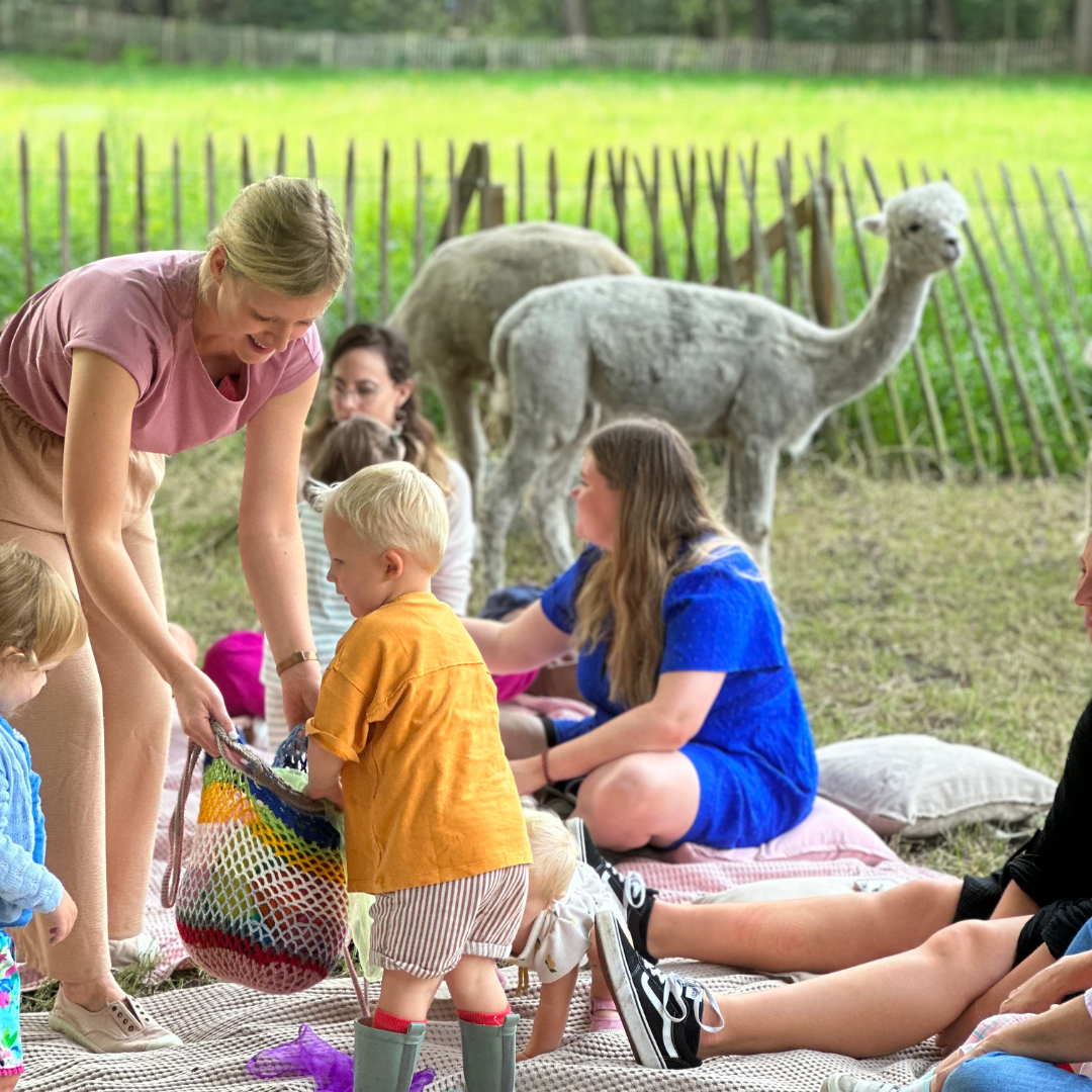 Muziek op Schoot tussen de alpaca's