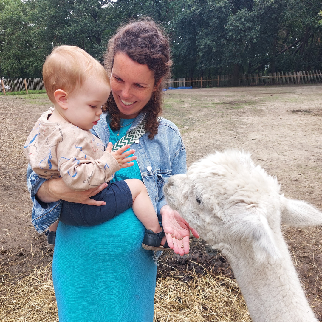 Muziek op Schoot tussen de alpaca's