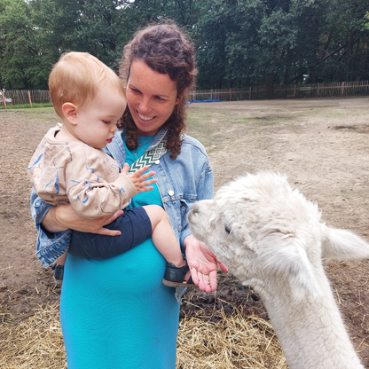 Muziek op Schoot tussen de alpaca's