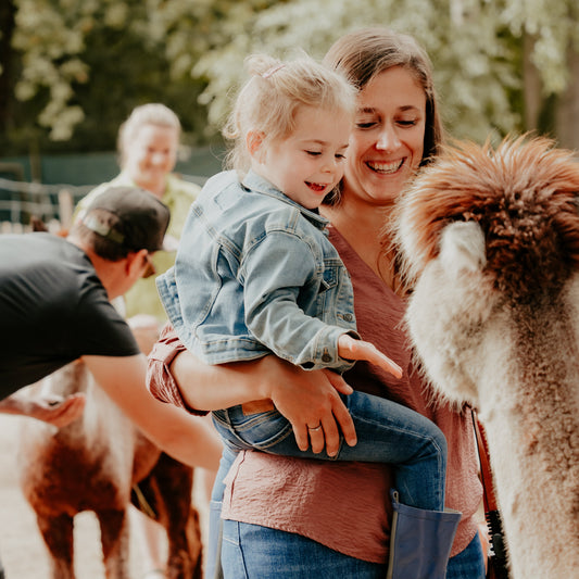 Muziek op Schoot tussen de alpaca's