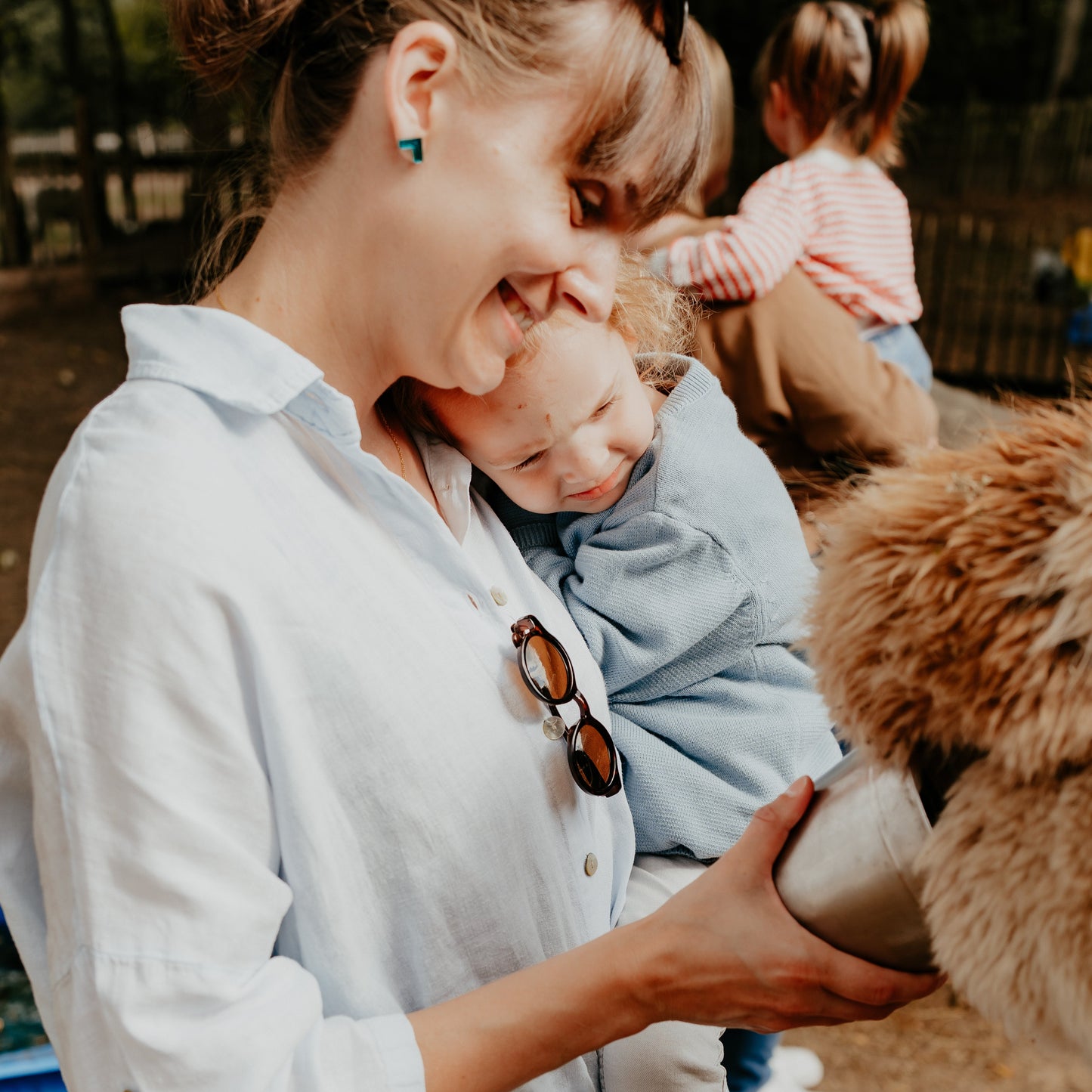Muziek op Schoot tussen de alpaca's