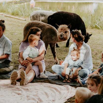 Muziek op Schoot tussen de alpaca's